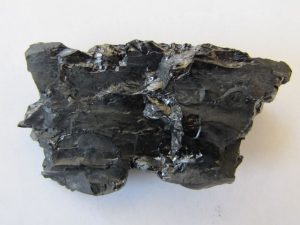 rough jet specimen found while rockhound beachcombing