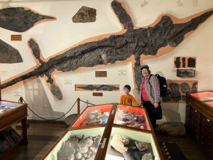 inside the Whitby Museum on the Whitby Dinosaur Coast 