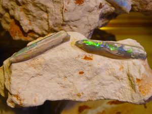 Knowing how is opal formed is important to understand specimens like this opal replacement fossil from Australia.