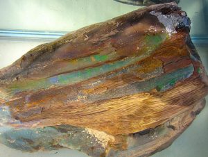 virgin valley black opal