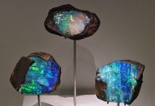 How Is Opal Formed? The Science Behind Its Colors boulder opals from australia illustrate the beautiful colors that come form how is opal formed