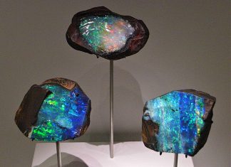 How Is Opal Formed? The Science Behind Its Colors boulder opals from australia illustrate the beautiful colors that come form how is opal formed