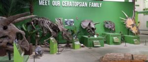 indiana dinosaur museum