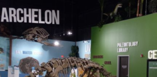 indiana dinosaur museum