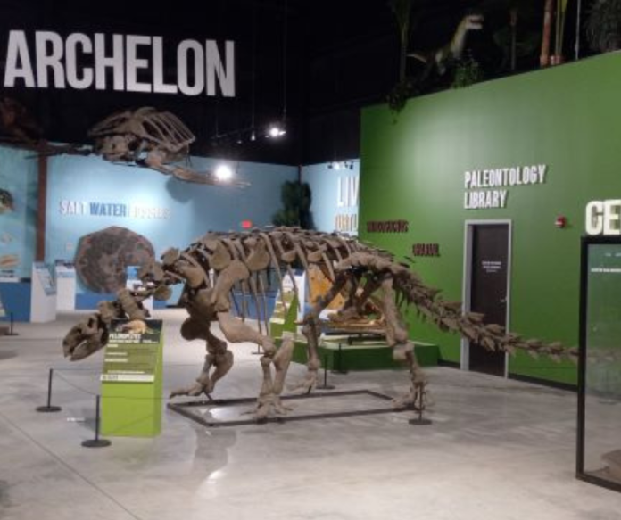 Indiana Dinosaur Museum indiana dinosaur museum