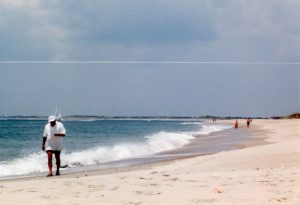 Outer Banks shelling on the beach