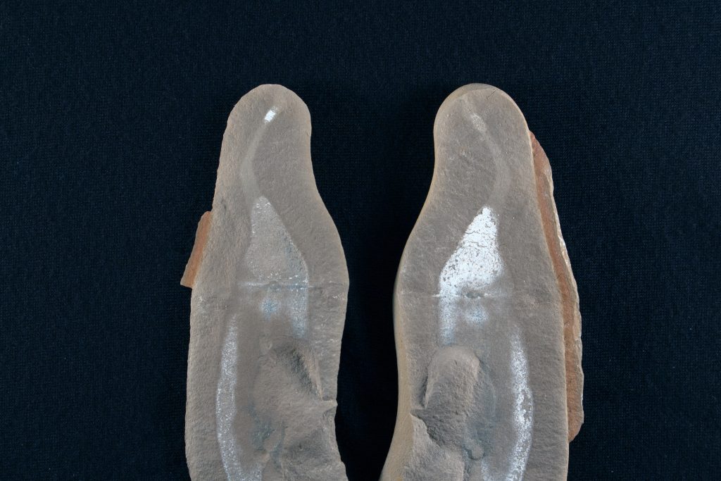A Tully Monster, the state fossil of Illinois. A Mazon Creek concretion split open revealing the Tullimonstrum gregarium, showing its proboscus, body and eye bar