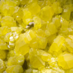 Sulphur crystals isolated on black. Large museum piece.