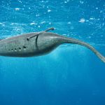 Tully Monster and Fossil Hoaxes Tully Monster swimming in the ocean, the State Fossil of Illinois