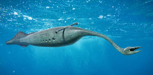 Tully Monster swimming in the ocean, the State Fossil of Illinois