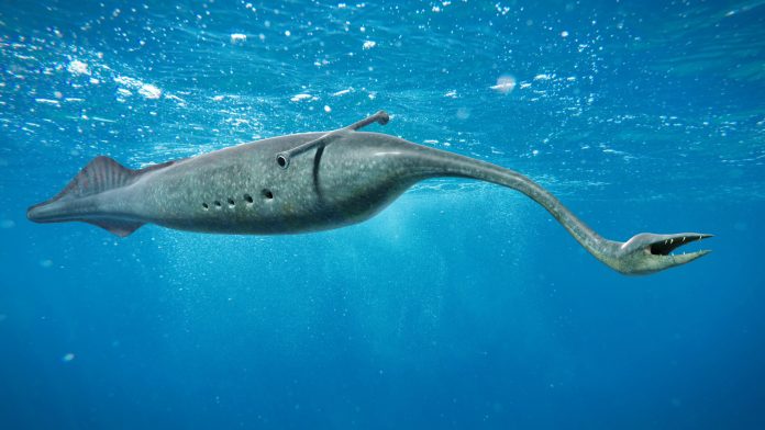 Tullimonstrum, Tully Monster swimming in the ocean, the State Fossil of Illinois Tully Monster swimming in the ocean, the State Fossil of Illinois