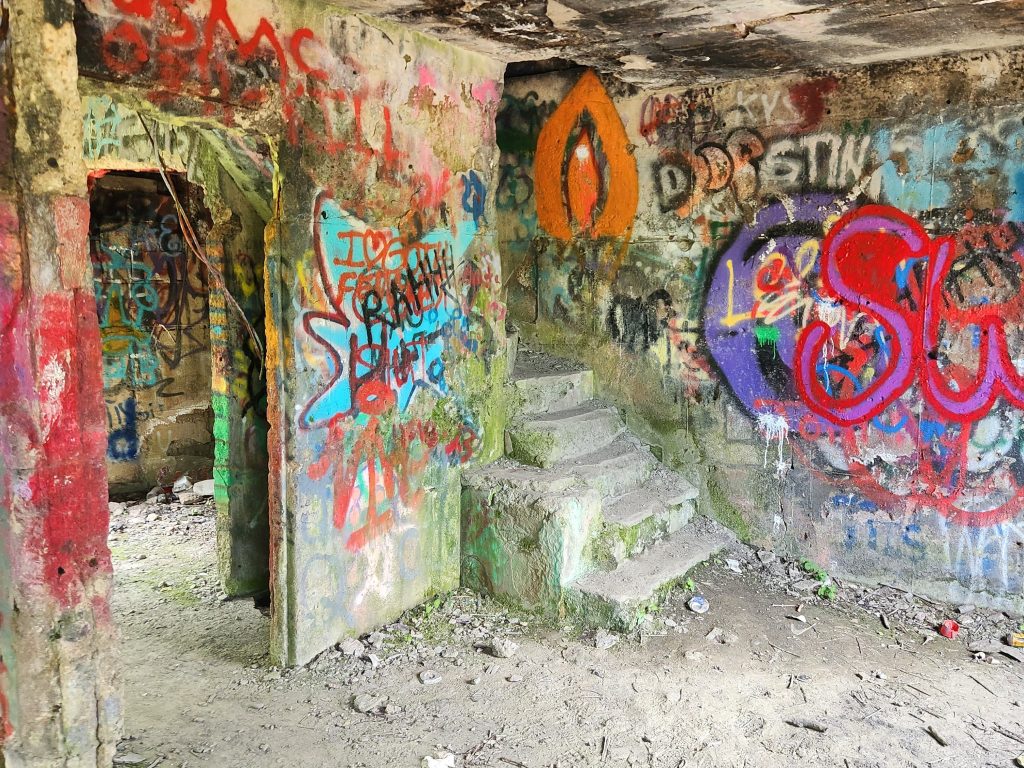 graffiti is abundant in concrete city houses inside and out