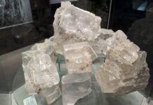 Mineral Museum Gifts: How To Help rock salt crystal display in a museum