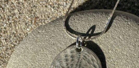 Make a Precious Metal Clay Sand Dollar silver dollar pendant made with precious metal clay