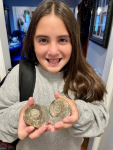 building the best collection