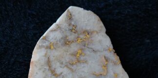 Gold-in-quartz specimen with white chalcedony and natural gold tendrils