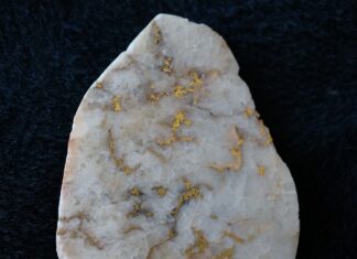 Gold-in-quartz specimen with white chalcedony and natural gold tendrils