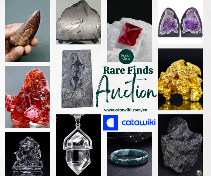 Catawiki Featured Photo (1)