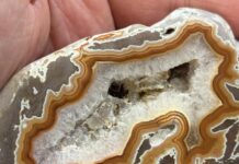 knowing how to open a geode gets results like this opened geode with a quartz interior
