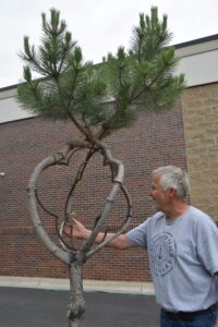 Mike Hollern showing how the branches are trained on the metal forms.