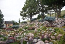 landscaping with stone in a Montana garden