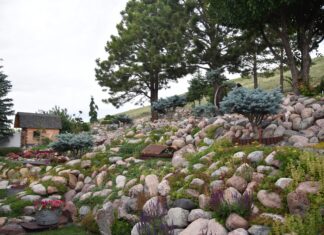 landscaping with stone in a Montana garden