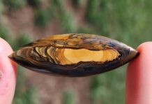 royal sahara jasper cabochon that's long and tapered at both ends