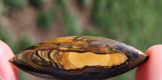 royal sahara jasper cabochon that's long and tapered at both ends