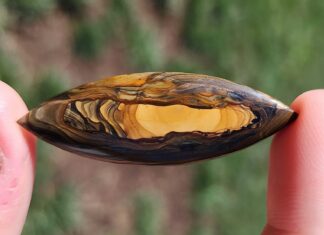 royal sahara jasper cabochon that's long and tapered at both ends