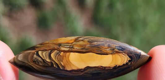 royal sahara jasper cabochon that's long and tapered at both ends
