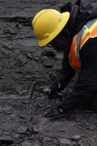 person digging for ammonite