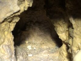 Cave pearls in the Cave of the Mounds.