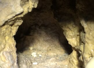 Cave pearls in the Cave of the Mounds.