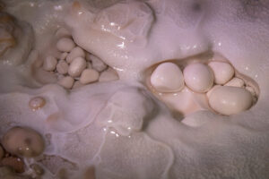 cave pearls nestled in a cave
