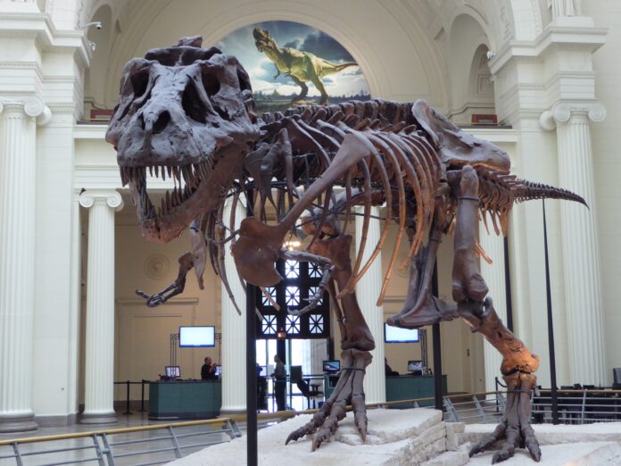 tyrannosaurus rex is one of the most famous dinosaur names and it's skeleton is pictured here