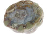 U.S. State Rocks, Minerals & Gemstones thunderegg from buchanan, oregon