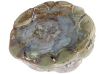 U.S. State Rocks, Minerals & Gemstones thunderegg from buchanan, oregon