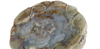 thunderegg from buchanan, oregon