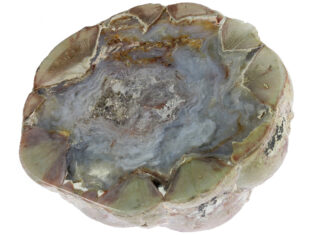 U.S. State Rocks, Minerals & Gemstones thunderegg from buchanan, oregon