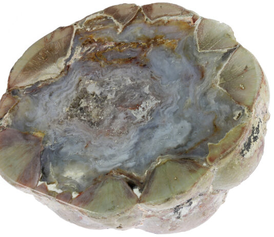 U.S. State Rocks, Minerals & Gemstones thunderegg from buchanan, oregon