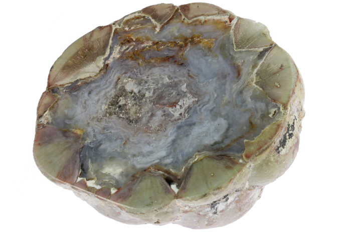 State Minerals and Gems thunderegg from buchanan, oregon