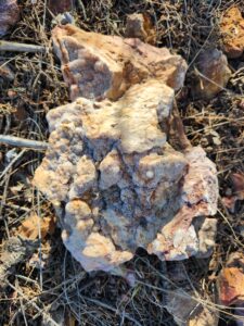 kingston-starburst-quartz-crystals