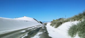 Gypsum sand dunes covered by desert foliage grace the roadside in White Sands National Park.