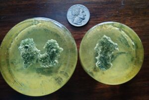 Trinitite from the first atomic bomb test near White Sands National Park.