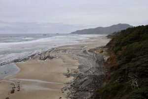 Stretch of oregon coast in Lincoln County famous for hunting beach fossils.