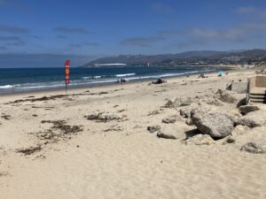 sandy-beach-collecting
