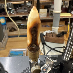 Walrus tooth after free-hand faceting.