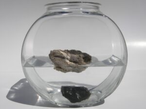 Photos of two volcanic glass specimens in a bowl of water. Their mineral properties allow one to sink and one to float.
