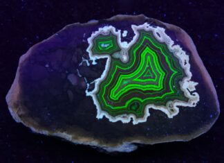 Fluorescent Agate: Why Some Agates Glow Under UV Light Montana’s Dryhead fluorescent agate shows a dramatic color shift when short-wave UV light excites the uranyl ions.