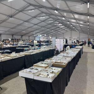 buying-at-gem-shows